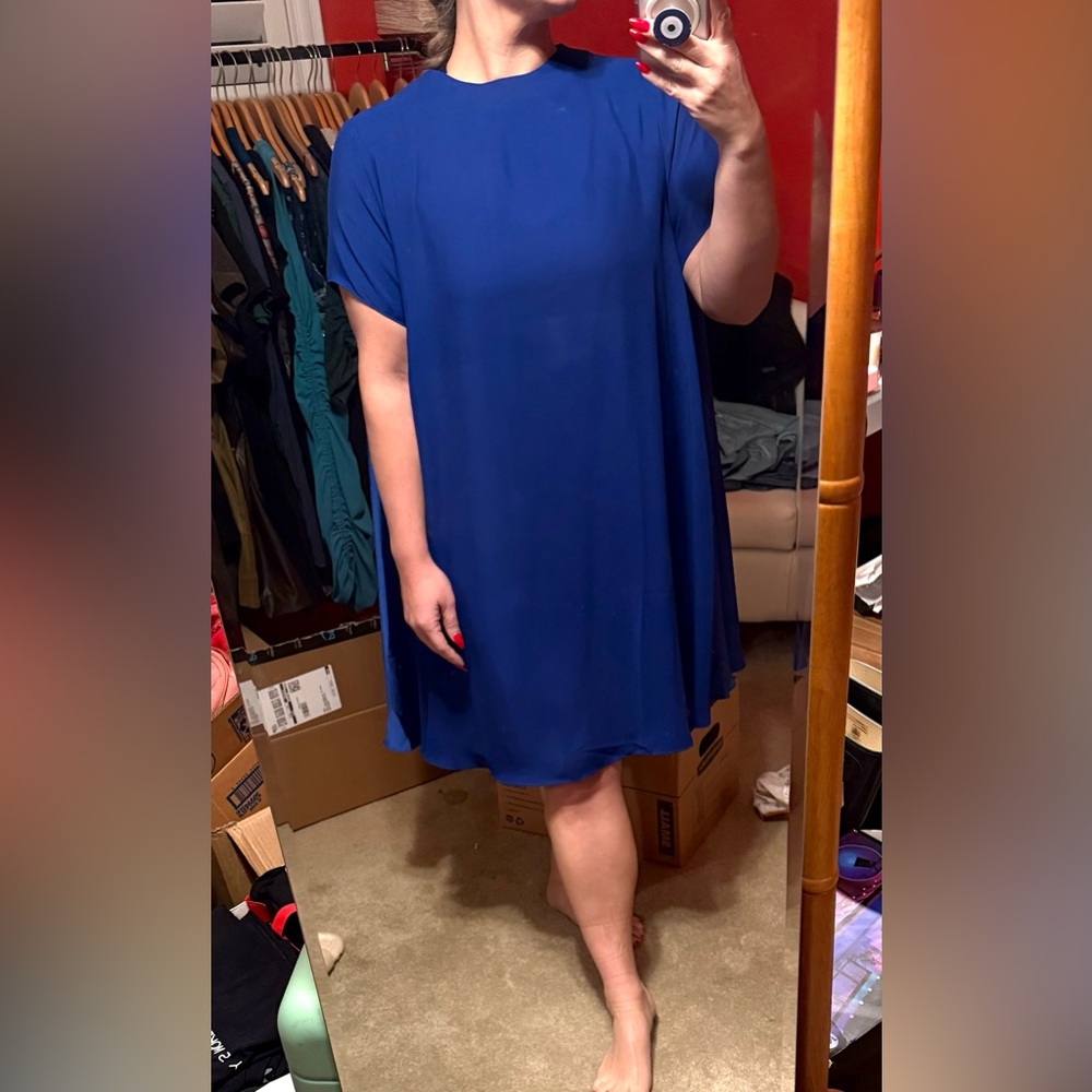 Banana Republic Cobalt Blue Mini Dress